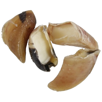 Kauwhoefje gevuld met schapenvet natuurlijke hondensnack