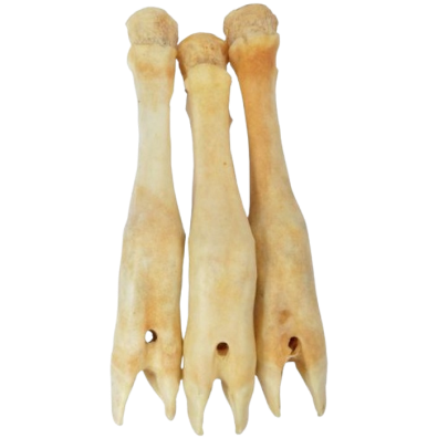 Lamspoten 3 stuks voor honden, een natuurlijke kauwsnack voor gezonde tanden en tandvlees.