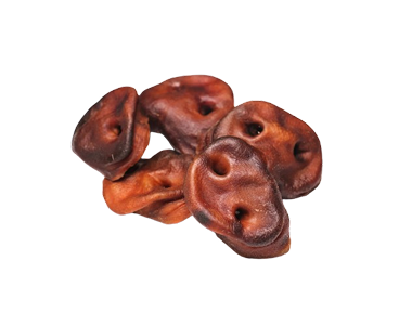 Varkensneuzen gedroogd natuurlijke hondensnack