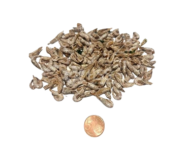 Garnaaltjes 60 gram natuurlijke vissnack voor honden-degezondehondensnack.nl